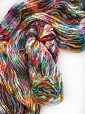 Malabrigo Rasta in Molino